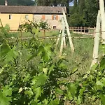 Cuore Di Vigna In Umbria Apartament Cenerente