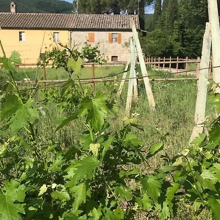 Cuore Di Vigna In Umbria Apartament Cenerente