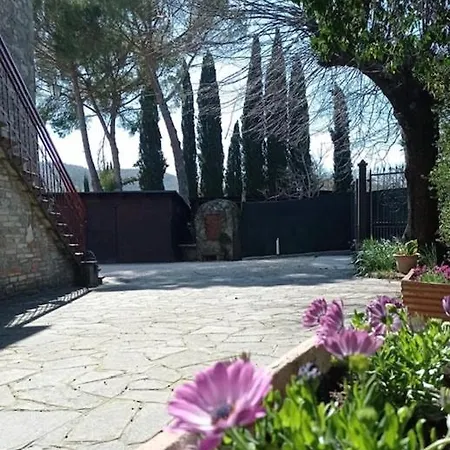 Cuore Di Vigna In Umbria