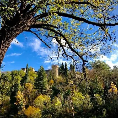 Appartement Cuore Di Vigna In Umbria