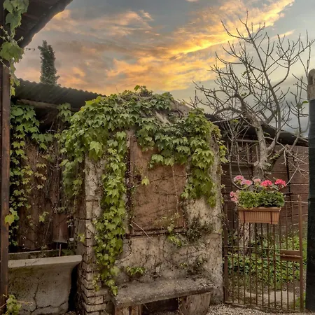 Cuore Di Vigna In Umbria *