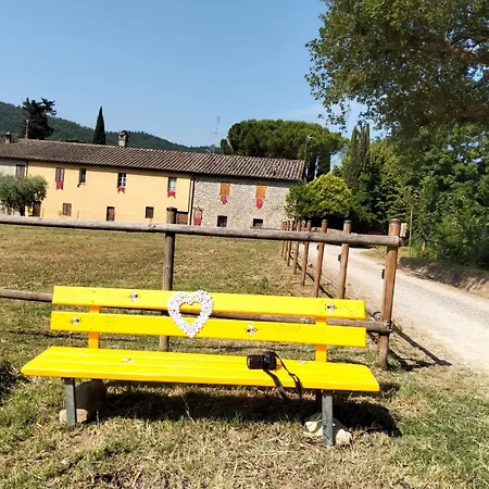 Cuore Di Vigna In Umbria *