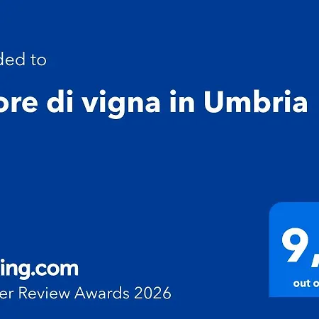 Cuore Di Vigna In Umbria Apartment Cenerente
