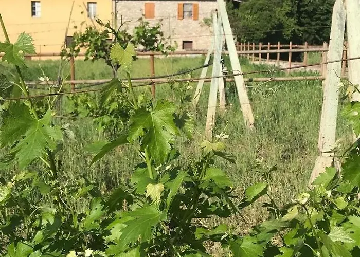 Cuore Di Vigna In Umbria Apartamento Cenerente