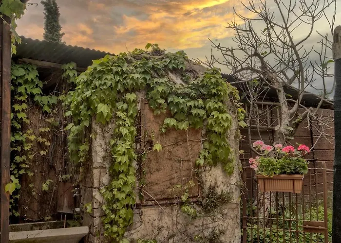 Cuore Di Vigna In Umbria *