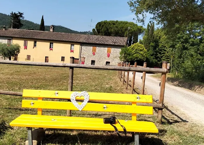 Cuore Di Vigna In Umbria *